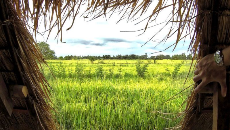 Off-Grid Bungalow in Rural Vietnam /// Vinjatek