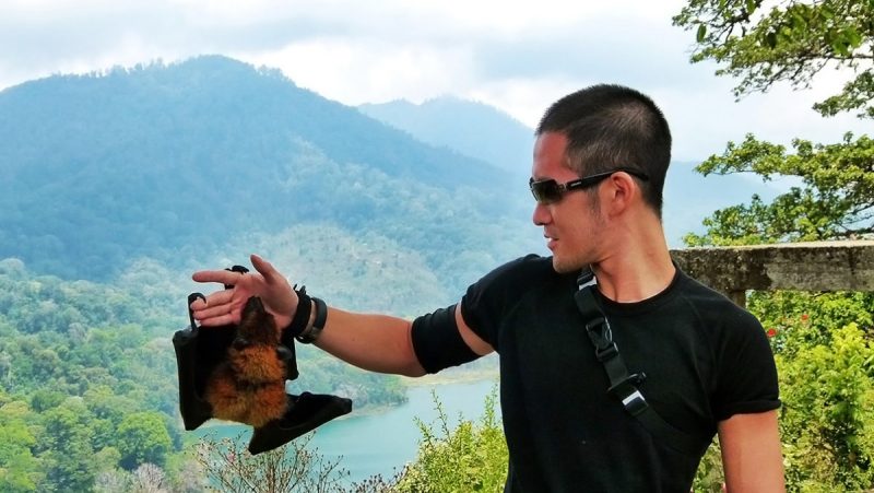 The Exotic Travel Experience Playing w/ a Bat on a Mountain in Bali, Indonesia /// Vinjatek