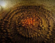 - Catacombs of Paris Bones Circle -