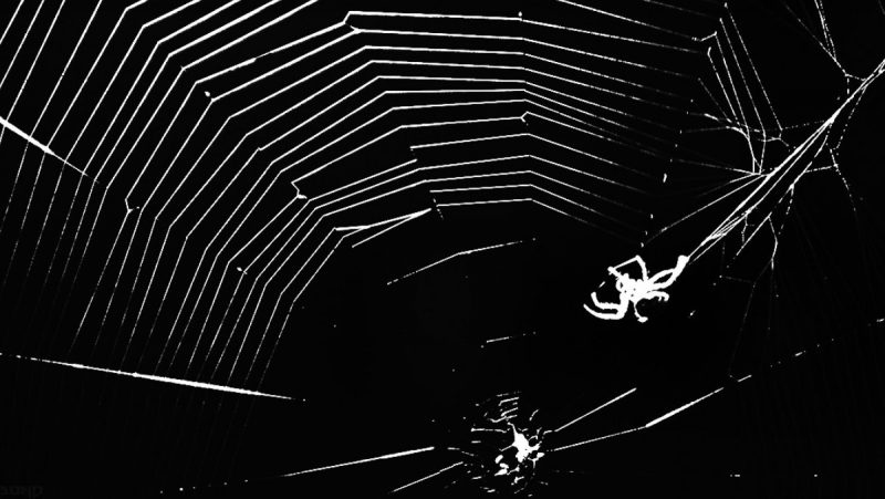 The Darknet Web /// Vinjabond