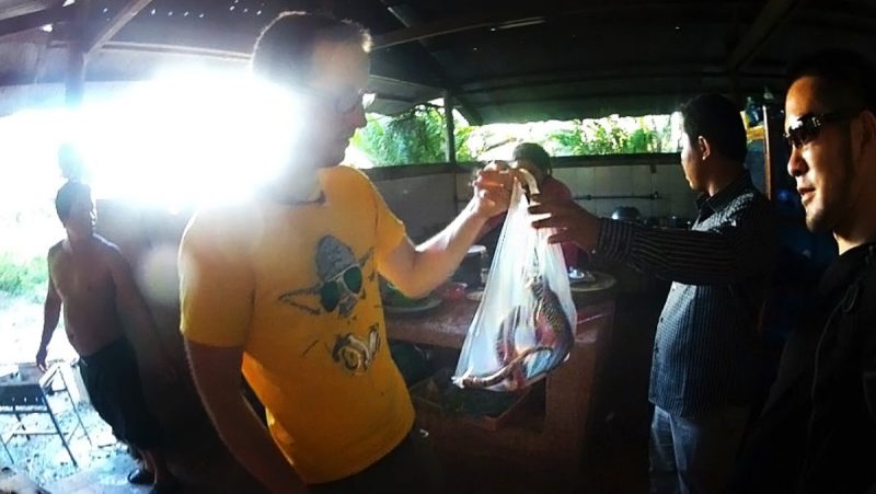 How to Haggle Like a Nomad Buying and Eating Cobra Snake in Siem Reap, Cambodia /// Vinjatek