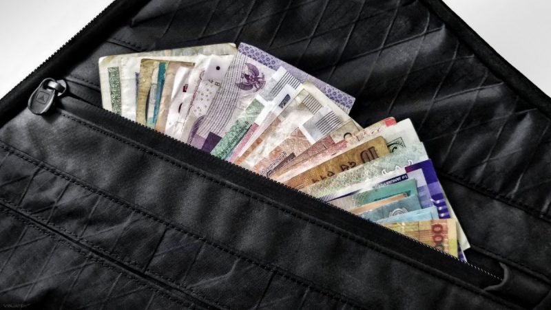 Triple Aught Design Transport Sleeve With Foreign Cuurency /// Vinjatek