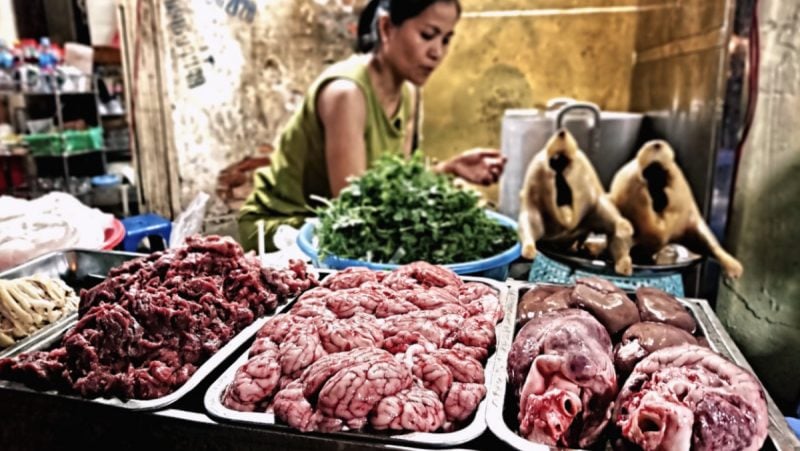Brains and Hearts Street Food in Hanoi, Vietnam /// Vinjatek