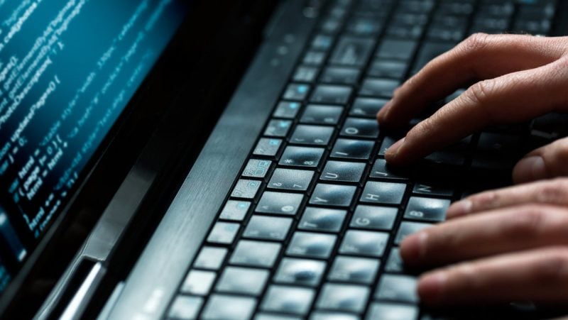 Burning Questions I Needed Answering /// Vinjatek