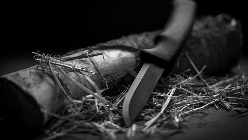 Best Bushcraft Knife