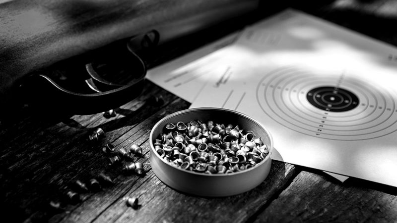 Best Air Rifle Reviews: Complete Buyer’s Guide