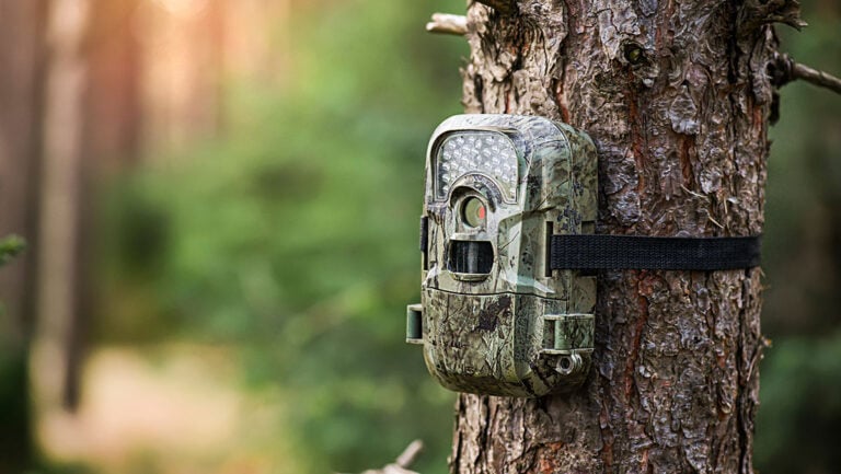 Best Trail Camera Reviews: Top Picks & Complete Buyer’s Guide Best Trail Camera Reviews