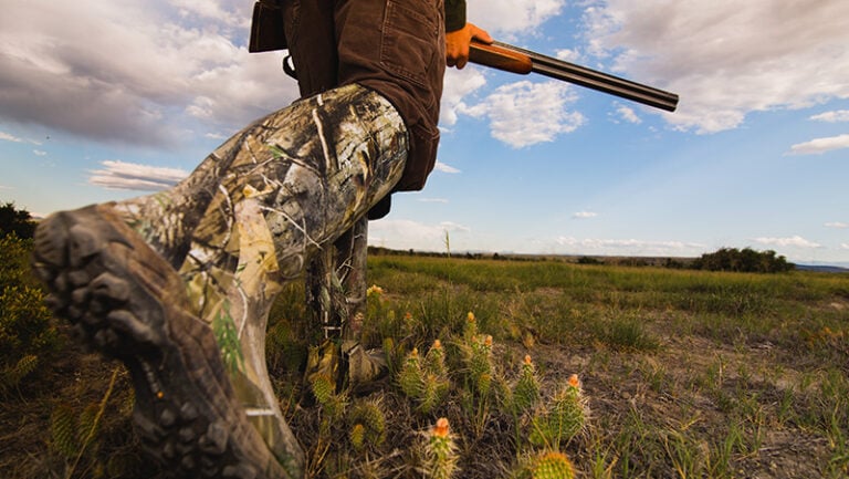 Best Hunting Boots Reviews: Complete Buyer’s Guide Best Hunting Boots Reviews: Complete Buyer's Guide